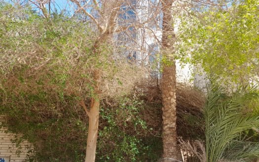 Green Contract Villa for Sale in Magawish